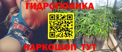 PSILOCYBIN Новозыбков