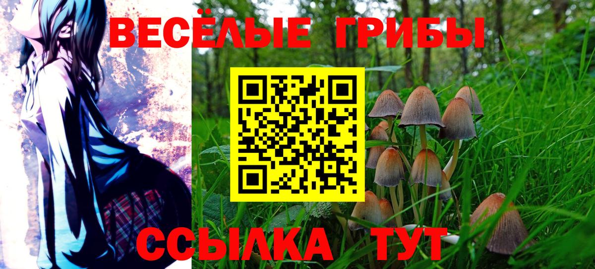 Псилоцибиновые грибы GOLDEN TEACHER  Вход с VPN  что такое наркотик  Шарыпово  Псилоцибиновые грибы Psilocybe 